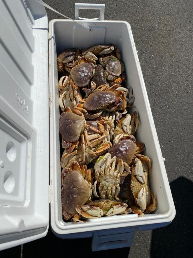 Winchester Bay Inn Reedsport Bagian luar foto