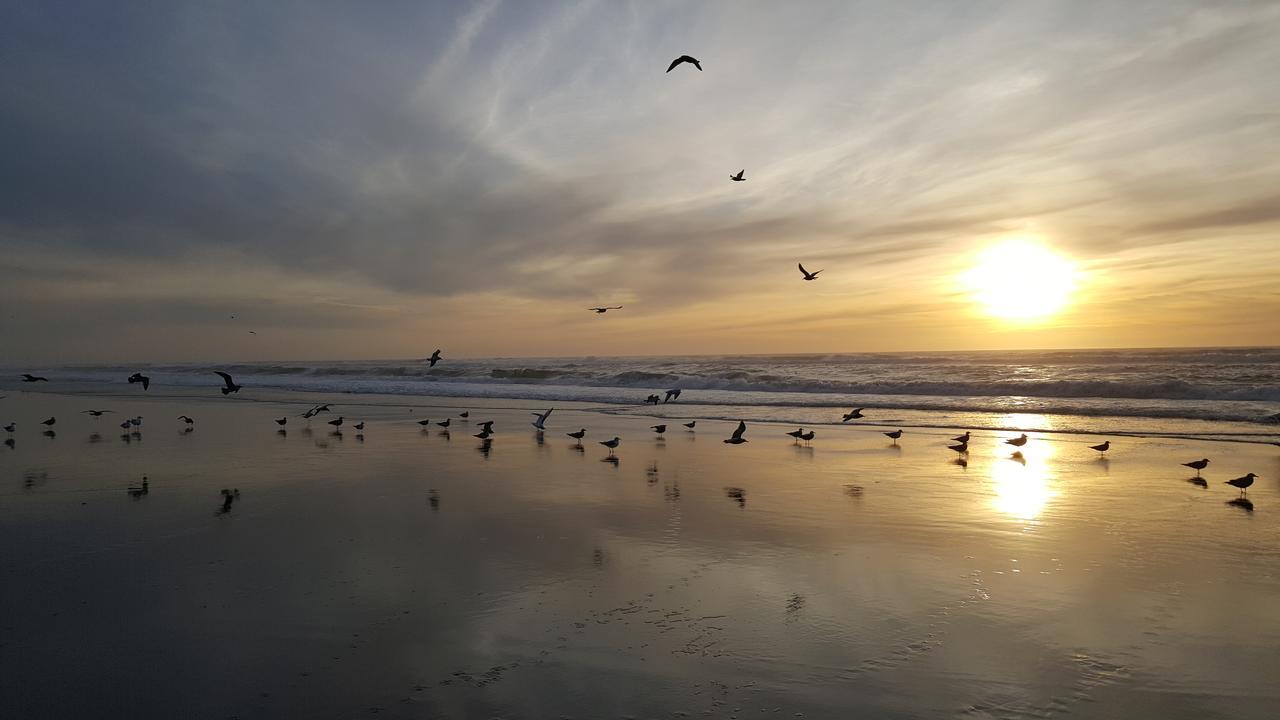 Winchester Bay Inn Reedsport Bagian luar foto