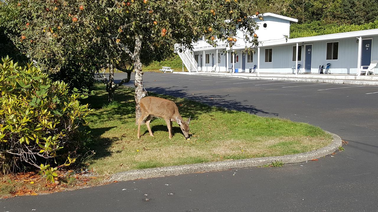 Winchester Bay Inn Reedsport Ruang foto
